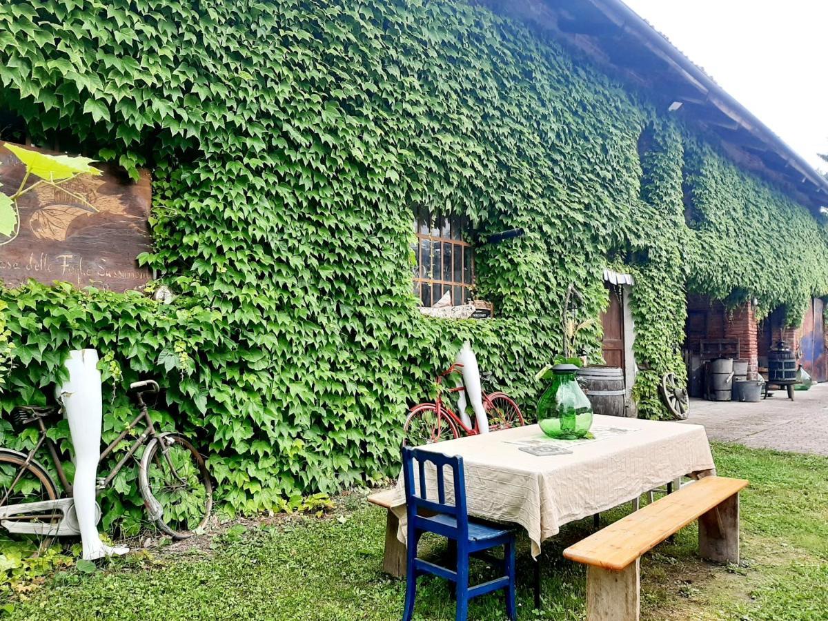 Villa Casa Delle Foglie Sussurranti Asti Esterno foto