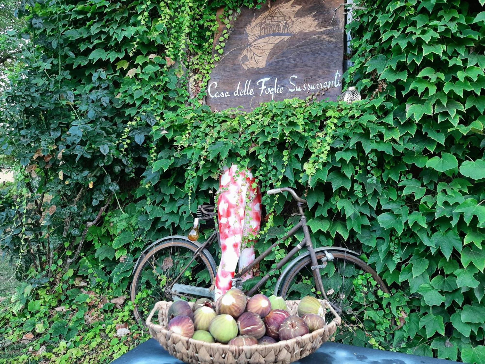 Villa Casa Delle Foglie Sussurranti Asti Esterno foto